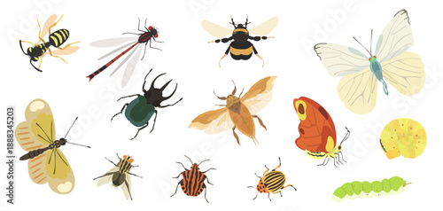 Collection cute vector hand drawn fly insect. Cartoon butterfly, dragonfly, beetle, bee, wasp, bug, bumblebee character illustration isolated on white. Summer insects icon.