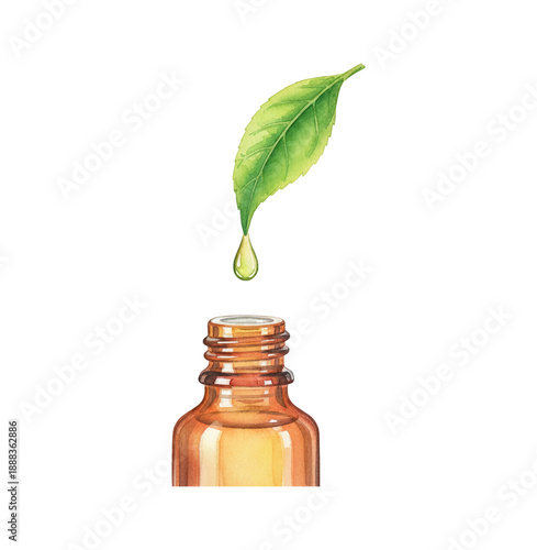Single green leaf with a glistening natural drop falling into an amber essential oil bottle illustration