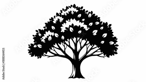 Silhouette of a large deciduous tree with dense foliage.