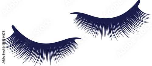 Dark blue eyelash extension pair isolated on white background elegant beauty makeup cosmetic salon fashion vector illustration design