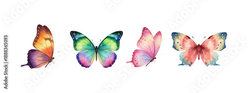Vibrant watercolor butterflies set with colorful detailed wings artistic elegant natural on white