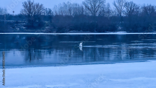 A winter landscape with ice-covered river banks, where a swan and other wintering waterfowl swim. Bare trees appear in the background, and falling snowflakes fill the frame.
