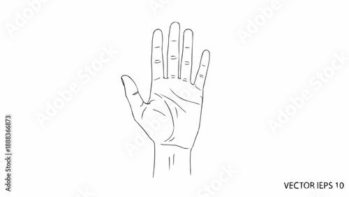 Line drawing of a human hand showing palm lines.