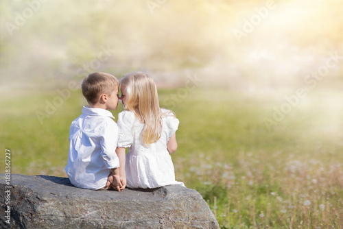 A little boy and a little girl are sitting on a rock in a sunny meadow.