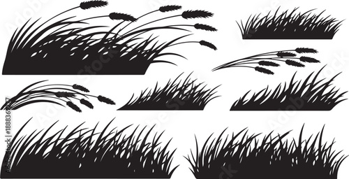 Black grass and reeds silhouettes on white background illustration