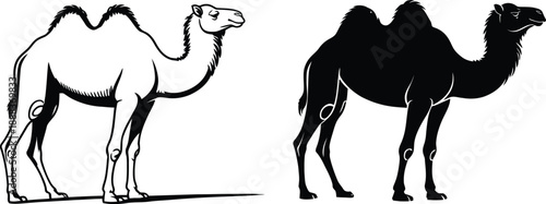 Islamic Camel Silhouette and Outline Set, Sacrifice Animal for Eid al-Aadhar and Hajj Vector Illustration