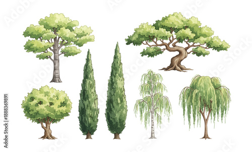 Diverse Watercolor Trees Illustration Set with Various Types and Green Foliage on White Background