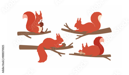 Minimal cute red squirrel with acorn on tree branch vector illustration set