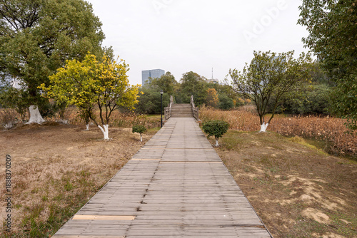boardwalk in the City Park