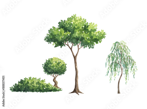 Watercolor painting of various green trees and bushes including a tall tree a round tree and a weeping willow