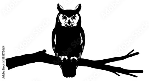 Black silhouette owl perched on branch, viewed from front, in monochrome illustration style