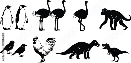 Black vector silhouette and line art set of diverse animals including penguins ostriches a monkey rooster and dinosaurs for zoo nature and prehistoric design,