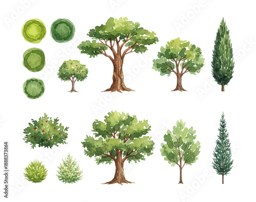 Watercolor illustration set of various tree species and shrubs botanical collection on white background