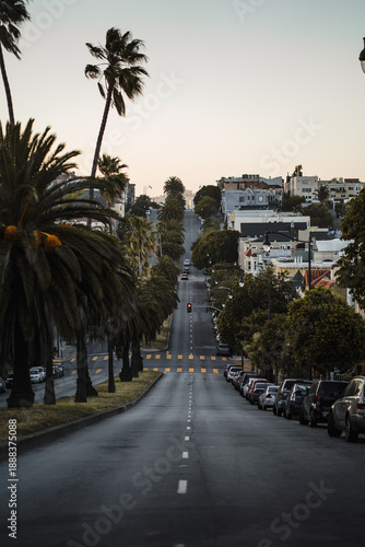 Longue rue avec palmier a San Francisco