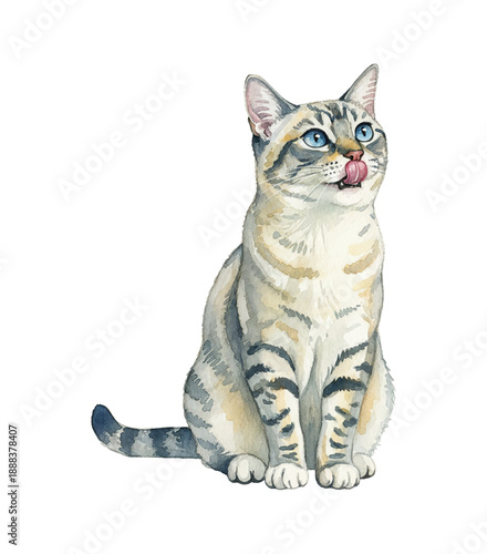Cute cat sitting with blue eyes licking its nose a watercolor illustration looking up curious and hungry