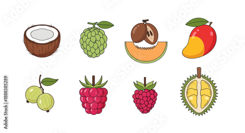 Colorful assortment of fresh tropical fruits isolated on a white background