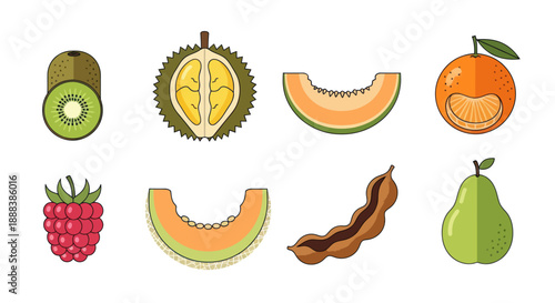 Colorful flat fruit illustrations kiwi durian melon orange and more