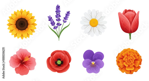 Colorful floral arrangement various blooming flowers in vector style