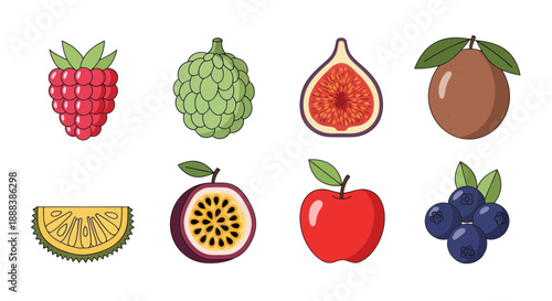Colorful fruit assortment illustration isolated on white background for design
