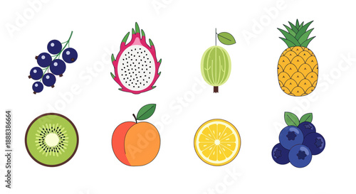 Colorful fruits assortment isolated on white background for design elements