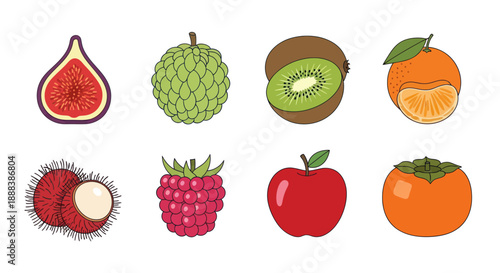 Colorful fruits assortment vector illustrations for healthy eating and design