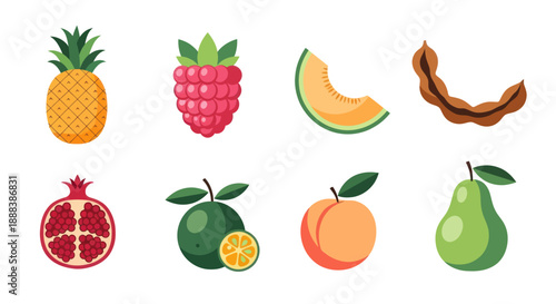 Colorful fruits collection pineapple raspberry melon pomegranate vector design