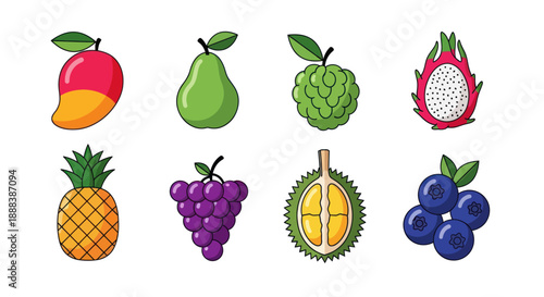 Colorful illustration of various fruits on white background