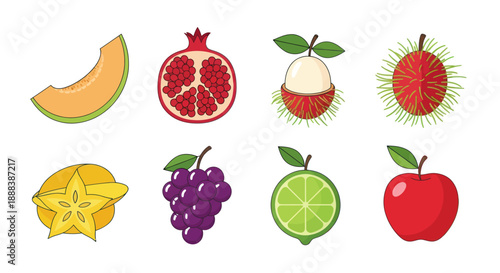 Colorful illustration of various tropical fruits on white background