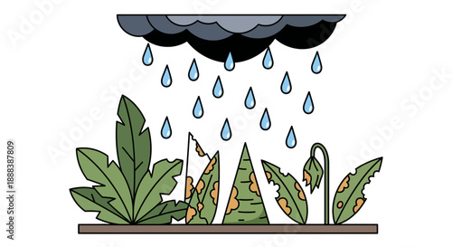 cartoon illustration of plants damaged by acid rain with dark storm clouds and droplets