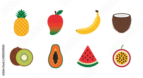 Colorful tropical fruits coconut mango dragon fruit and grapes illustrations