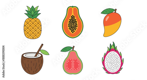 Colorful tropical fruits pineapple papaya mango coconut guava dragon fruit