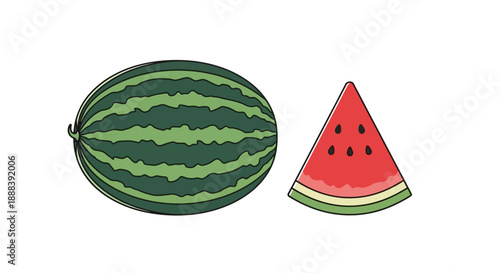 illustration of a whole watermelon and a slice showing the interior and exterior details