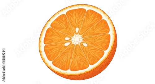 Cross-Section of Fresh Orange Showing Juicy Segments and Bright Colorful Interior