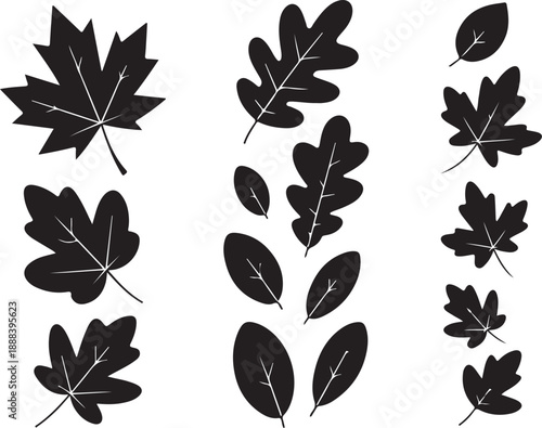 Autumn falling leaves. Vector silhouette of maple, oak, rowan and other leaves. Set of autumn decorations.