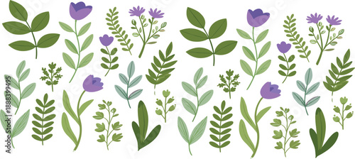 Hand drawn botanical foliage and wildflower elements collection with green leaves and purple flowers vector set