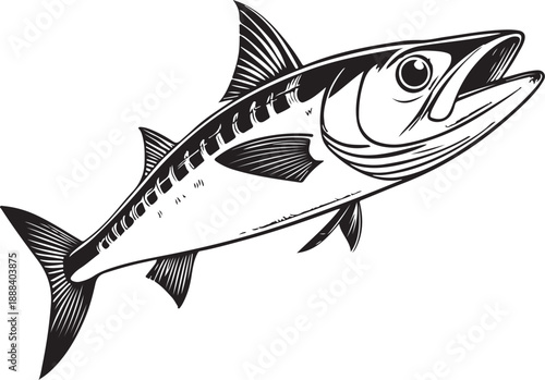 Barracuda Fish (Sport Fishing) Hand-drawn Sketch Drawing Vector Illustration, Line Linear Symbol Engraving Coloring Book, Black and White Isolated