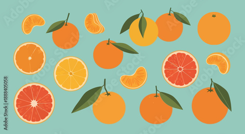 Bright and Colorful Citrus Fruits Collection Featuring Oranges and Grapefruit in a Modern