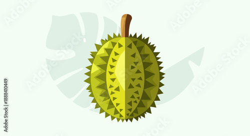 Illustration of a durian fruit split in half showing spikes and interior details