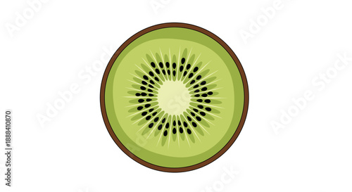 Close-up Illustration of a Fresh and Juicy kiwi fruit cross-section with detailed seeds and