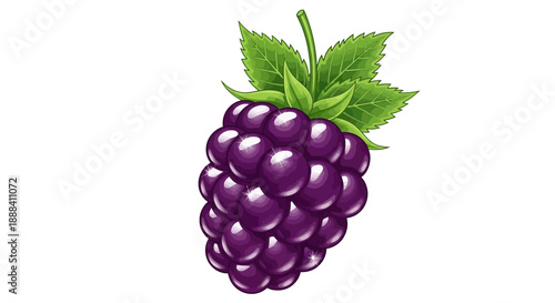 Vivid Digital Illustration of a Ripe Dark Purple Blackberry with Green Leaves on a White Background