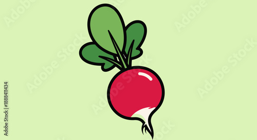 Illustration of a Fresh Radish with Green Leaves on a Light Green Background