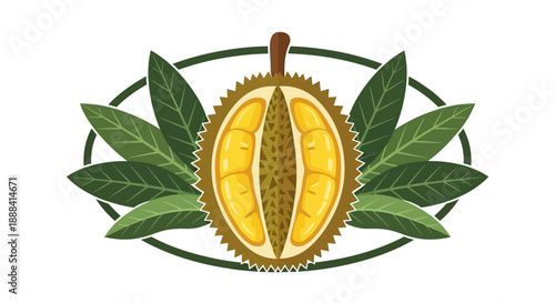 illustration of a durian fruit with spiky shell and yellow flesh surrounded by green leaves for