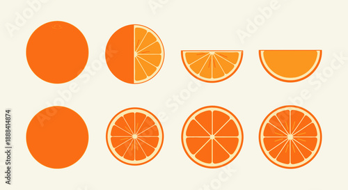Illustration of the different stages and sections of an orange fruit in various presentation styles