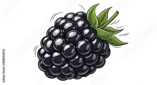 Realistic Illustration of a Black Raspberry with Green Stem and Leaves