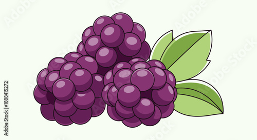 Illustration of Fresh Blackberries with Green Leaves on a Light Background