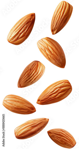 Wallpaper Mural Group of Whole Almonds Falling in the Air on a Transparent Background. PNG. Torontodigital.ca