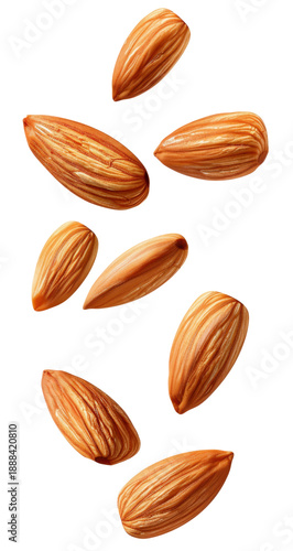 Wallpaper Mural Group of Whole Almonds Falling in the Air on a Transparent Background. PNG. Torontodigital.ca