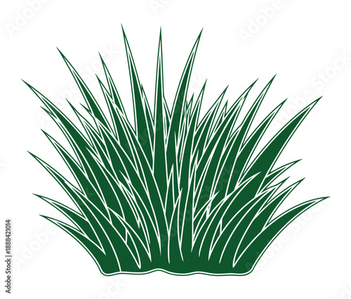 Illustration of a dense green grass clump with sharp pointed blades.