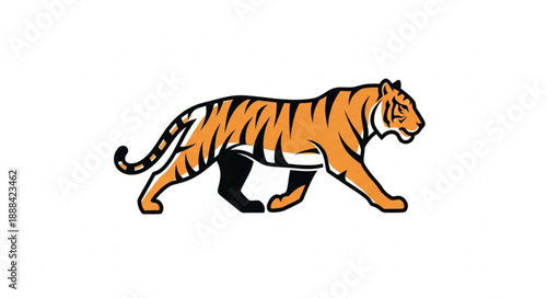 A majestic tiger walking with its striped body.