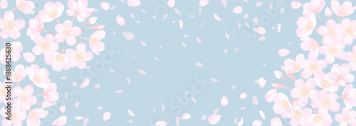 桜の花の横長背景イラスト